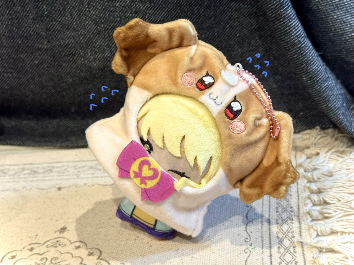kimowota_dog724's tweet photo. https://t.co/Fokgcs9BIK