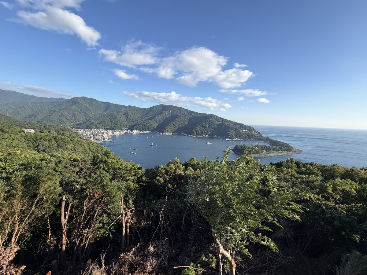 mogupy's tweet photo. 戸田港はきれいな漁港だった。 https://t.co/r6pYMEwRrM