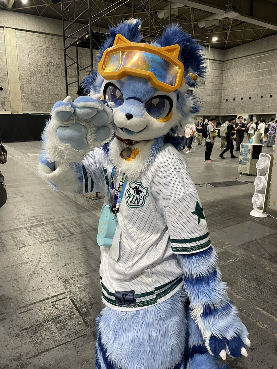 Roy_wolf77's tweet photo. ラピりちゃん️🩵💓️🩵
ゴーグルと体色も相まってもう海じゃんよね…🫶もーーめっちゃギューしてくれてありがと〜‼️😭可愛すぎて滅しちゃうかと思ったよ😇
また絶対会おうね…‼️🤞🤞🤞
一緒にお写真ありがとうございました‼️🙏✨
 #OFFF2026  #OFFF https://t.co/7DFARLLh22