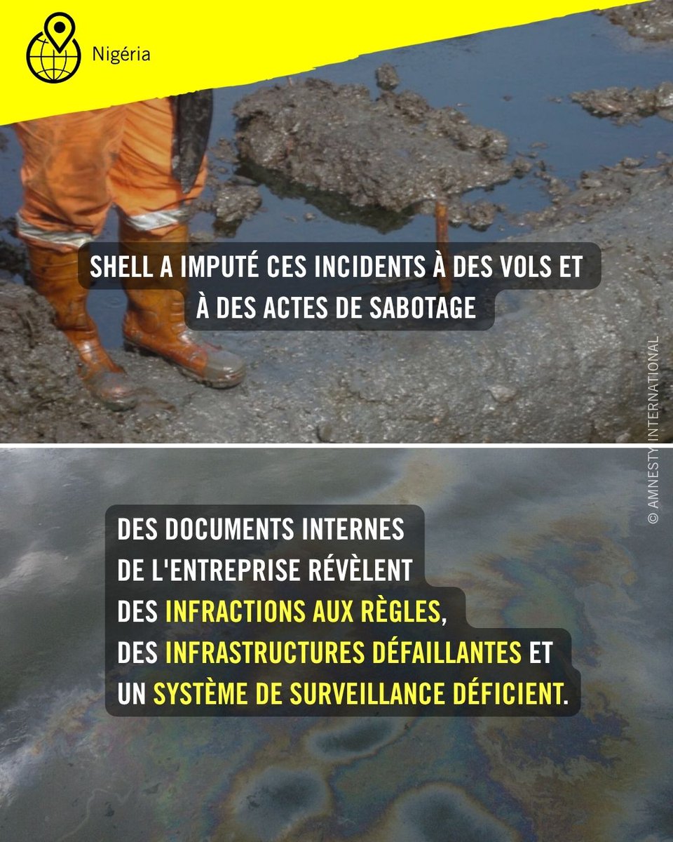 amnestybe's tweet photo. 🇳🇬🚨 L’inaction de Shell est responsable de décennies de pollution au Nigeria.

La volonté de profit de l'entreprise a détruit l'écosystème et gravement pollué le delta du Niger.

Les preuves sont là. Shell doit rendre des comptes !

Lisez notre rapport : https://t.co/hdTgznSKpz https://t.co/WFE3sBqLnD