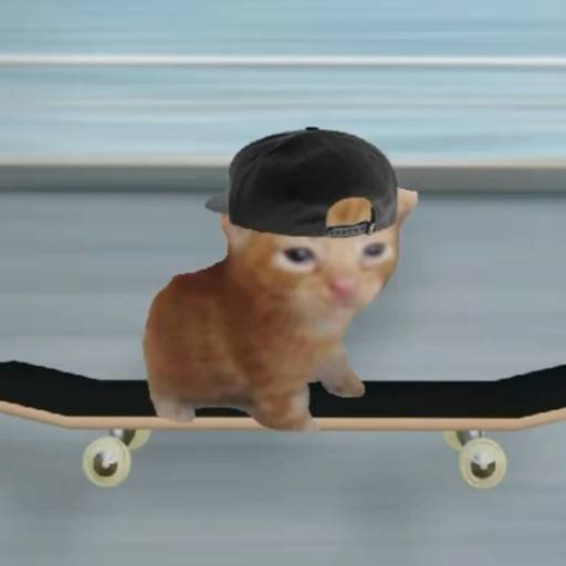 0xtylerpd's tweet photo. thesis is so simple 

cat is LITERALLY onboard https://t.co/1BCANYAoNq
