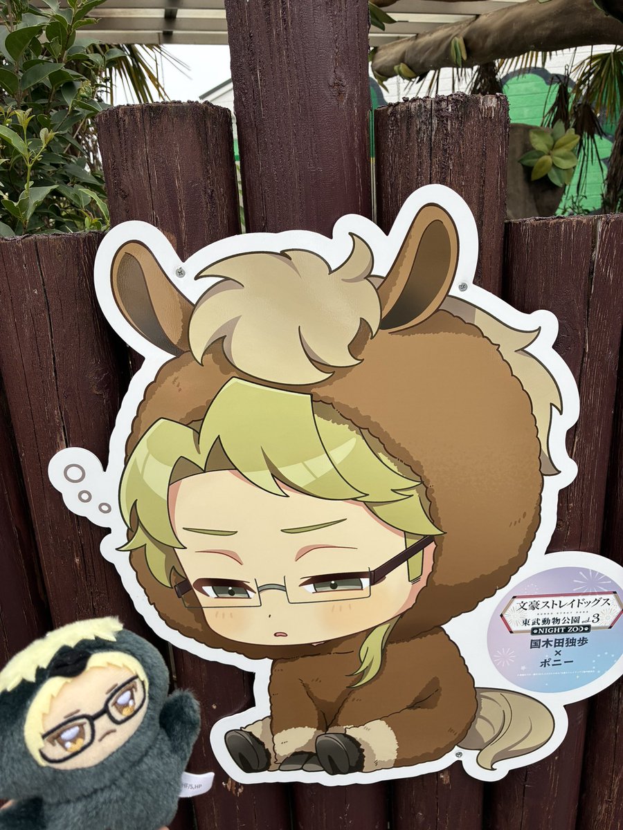 Tsukinokro's tweet photo. 動物園が文豪ストレイドッグスとコラボしてたんだけど、息子が「おかーさん！ツッキーがいたよ！」っていうから、そんなわけないでしょ…と思って連れて行かれたら、このお方…🤔
確かに一瞬似てる❓❓ https://t.co/CFD83torJv