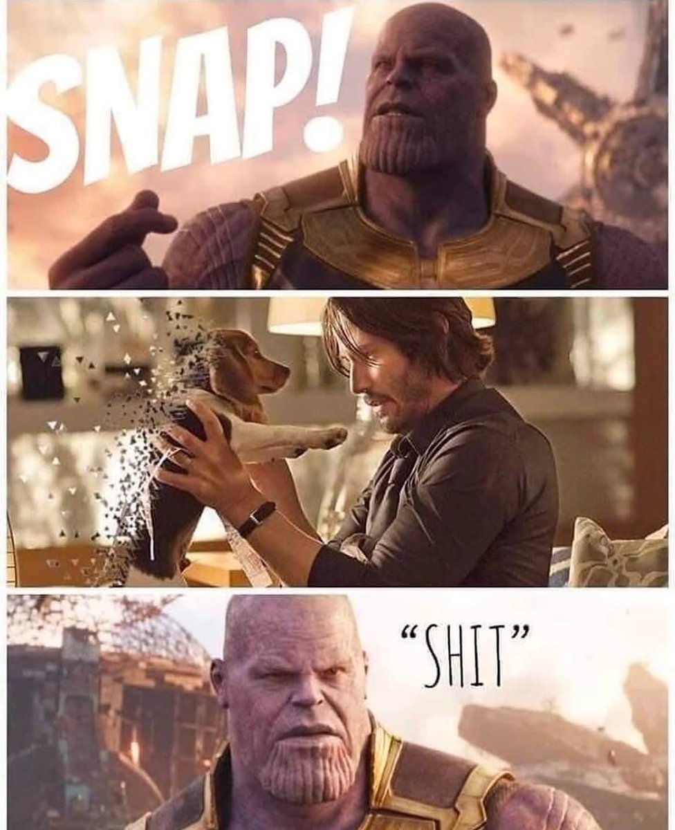 joycekhngz's tweet photo. John Wick's dog?
Thanos is in trouble 😭😂 https://t.co/WLVAck6jA3