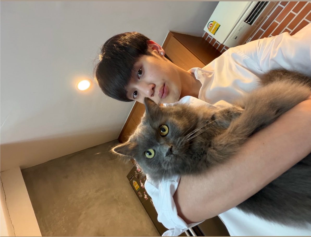 AntitoRexxa's tweet photo. wooow who is this beautifull being? 
oh look and theres java hii #javabh 🤏🏼 https://t.co/JZl4mbJALY