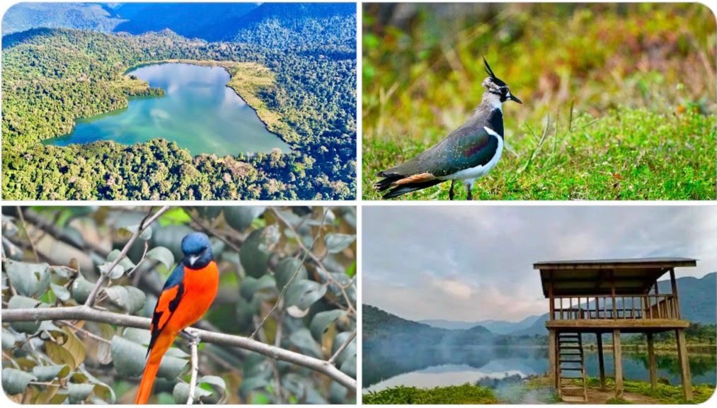 v_shrivsatish's tweet photo. PM Modi’s vision is strengthening India’s commitment to conserving wetlands while promoting sustainable development and community participation.
With Glaw Lake becoming Arunachal Pradesh’s first Ramsar Site India’s Ramsar network has expanded to 101 wetlands.
Nestled within the Kamlang Tiger Reserve and Wildlife Sanctuary Glaw Lake is a pristine freshwater ecosystem and a vital biodiversity hotspot in the Eastern Himalayas.
This milestone reflects India’s growing leadership in protecting nature while preserving ecological heritage for future generations.