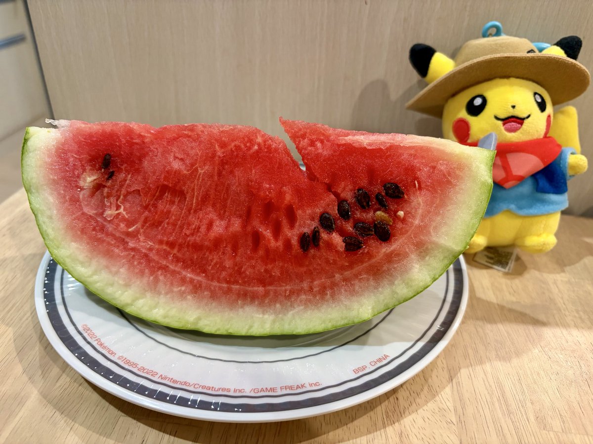 8o808o8's tweet photo. 生花のひまわり🌻と
ご近所さんが育てたスイカ🍉

#サニチャン夏ビンゴ2026 https://t.co/usALqiS0I9