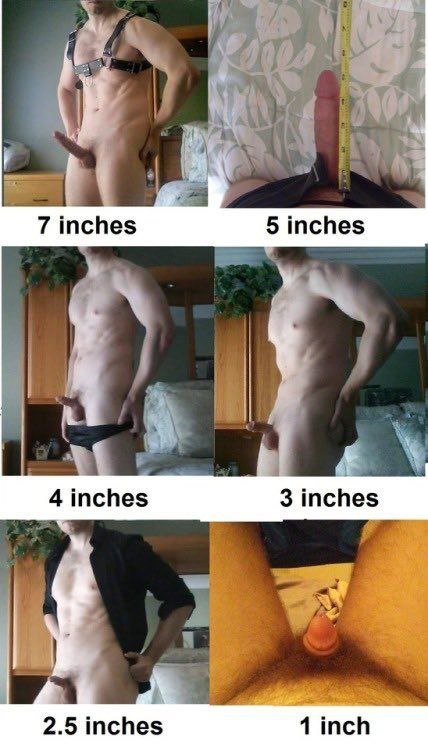 RealPussyMaker's tweet photo. Your progression with chastity👇 https://t.co/vn9gfxobqx