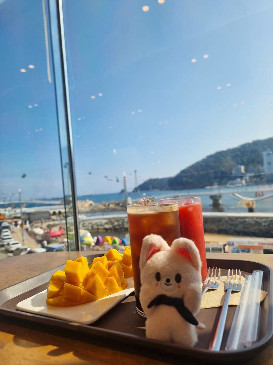 bbokari_meow's tweet photo. 부산 조타 https://t.co/KkNu3ixCWP