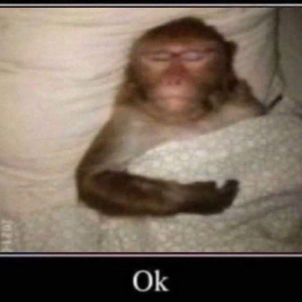 ihave2doIIars's tweet photo. Deleted instagram and immediately after tried to tap where it once was https://t.co/unTTZGROcN