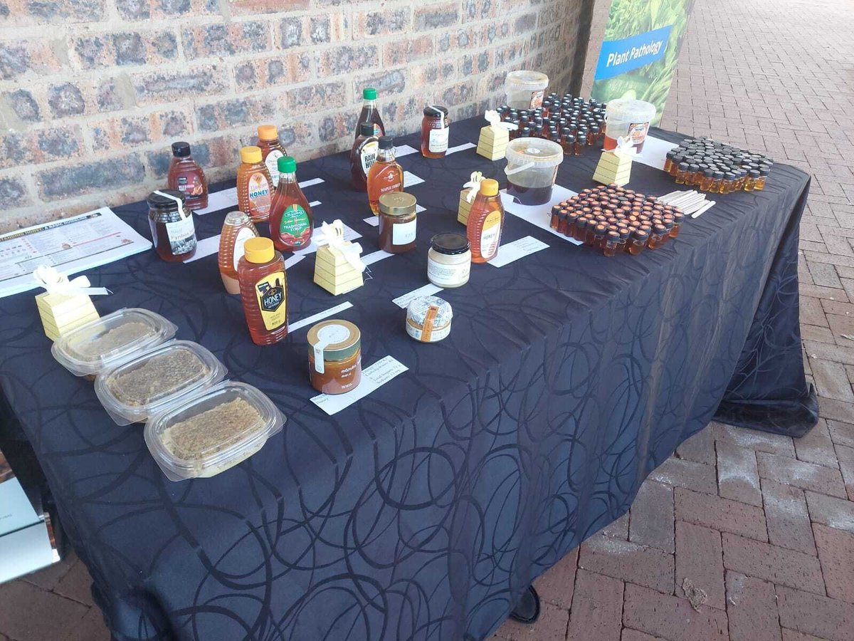 ASSAf_Official's tweet photo. 🐝 On 31 July, ASSAf proudly co-hosted From Pollination to Palate, a hybrid seminar exploring the role of bees in sustainable food systems, bee health, &amp; South Africa's honey value chain. Also examined regulation, market opportunities, and the draft National Honey Beekeeping Act. https://t.co/OeXQhXVys5
