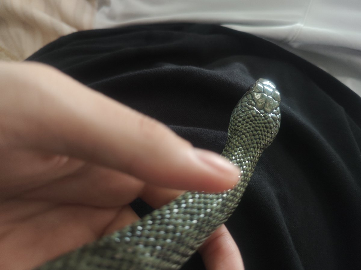 hakuda223's tweet photo. 脱皮直後は輝きが違うね✨️🐍 https://t.co/i6DiguxYVN