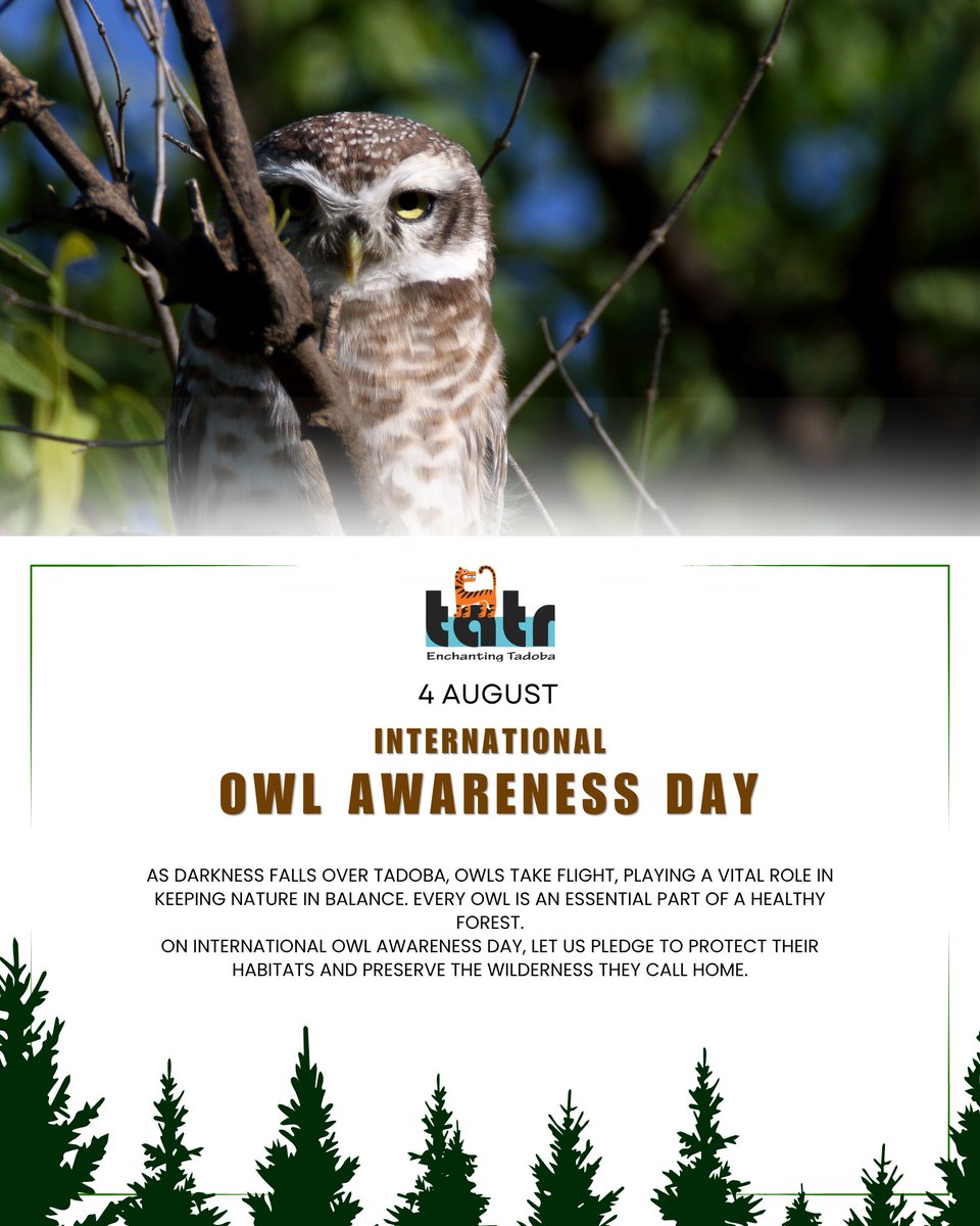 mytadoba's tweet photo. Silent guardians of Tadoba's nights, keeping nature in balance. Happy International Owl Awareness Day!
#InternationalOwlAwarenessDay #Tadoba #TATR #OwlConservation #WildlifeConservation #ProtectNature #Biodiversity #mytadoba https://t.co/4H4hE3uCPc