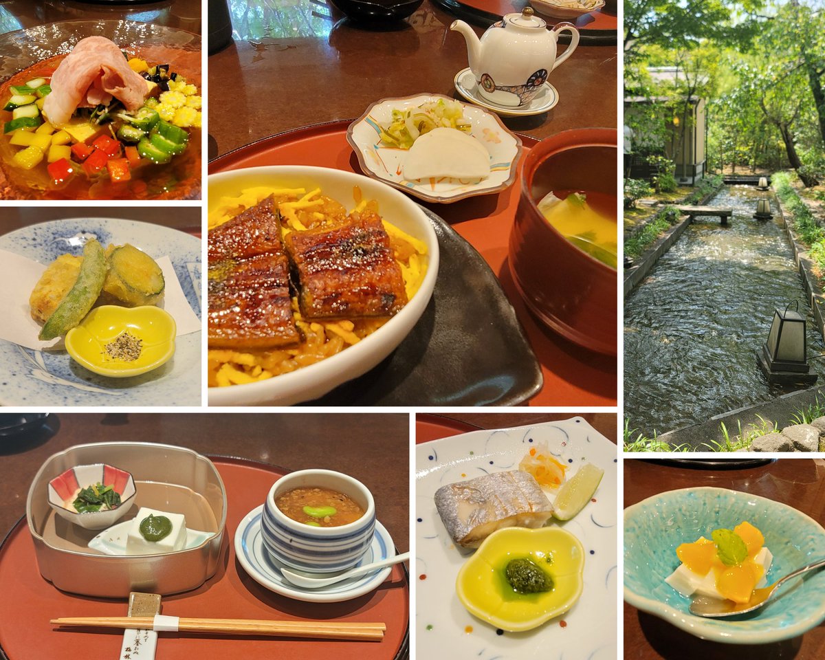 Wooo_lala's tweet photo. 暑すぎて溶けるぅぅぅ🫠
って事で……

涼しい景色を眺めながら、久々のコース料理🍽️
美味しいご飯を堪能して、心もお腹も満たされた😋🌿 https://t.co/OkvtQfxSDJ