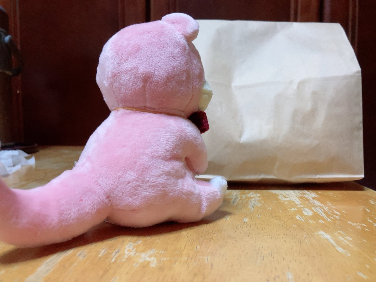 dvp_uc's tweet photo. 主がまたなにか買ってきたやぁん https://t.co/Q3E3fccSsI