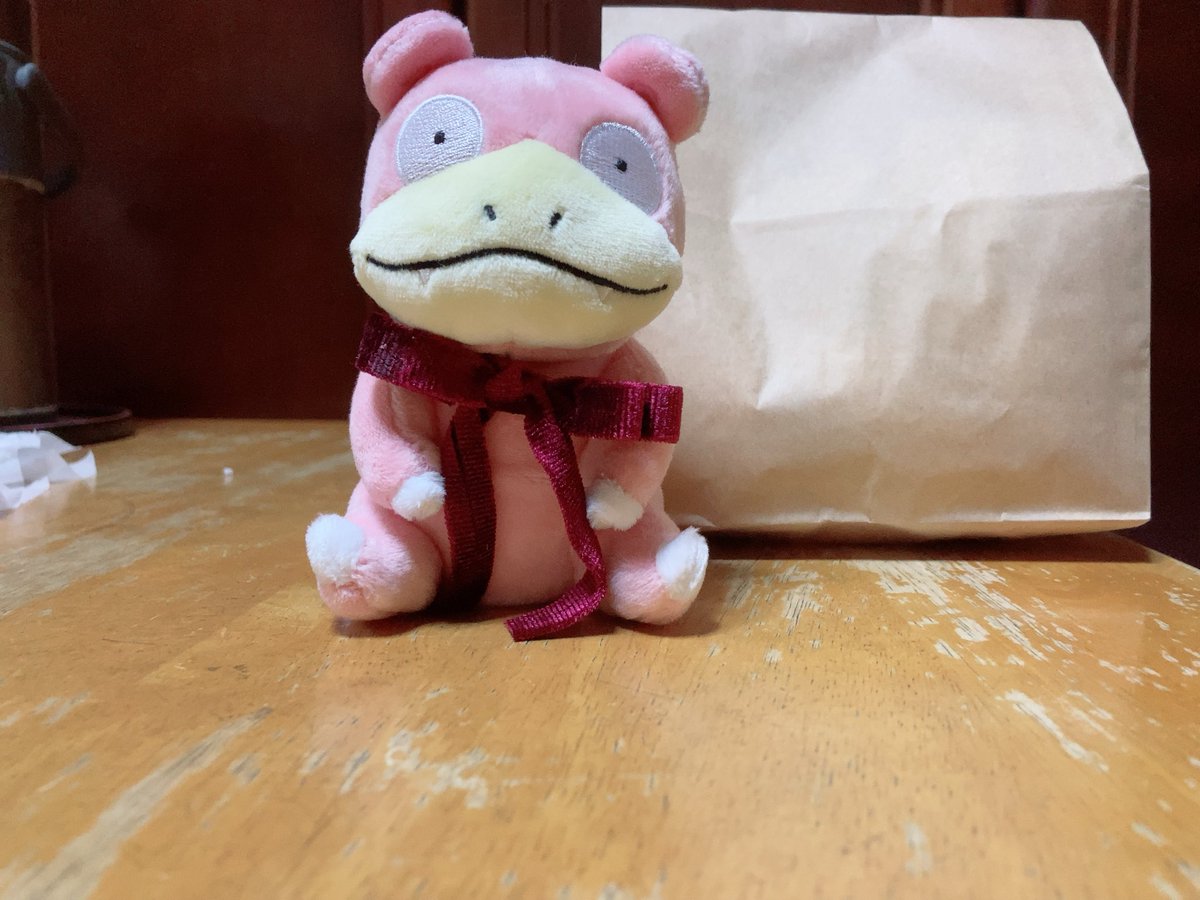 dvp_uc's tweet photo. 主がまたなにか買ってきたやぁん https://t.co/Q3E3fccSsI