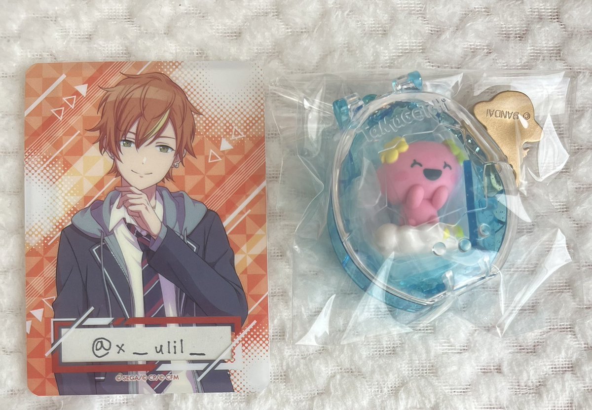 x_ulil_'s tweet photo. 【交換】たまごっち コレクティブルズ Tamagotchi Collectibles 30th Anniversary Vol.1

譲:ふらわっち

求:まめっち

郵送での交換希望です𐔌՞ ܸ .ˬ. ܸ՞𐦯
お気軽にお声掛けください！✊🏻 https://t.co/yGCHt3yntZ