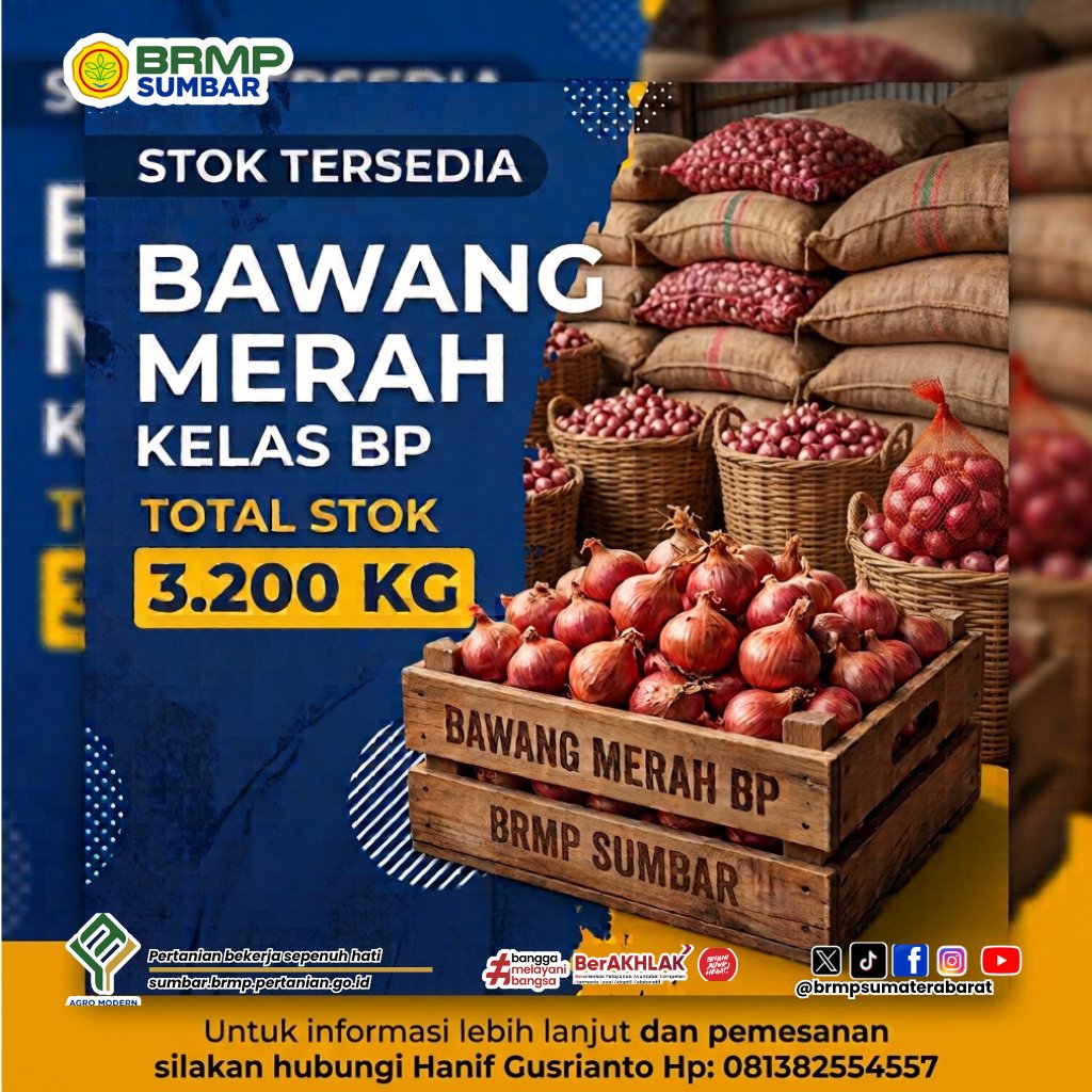 brmp_sumbar's tweet photo. 🧅 STOK BAWANG MERAH KELAS BP TERSEDIA!
Informasi dan Pemesanan:
 Hanif Gusrianto
📱 0813-8255-4557
Mari bersama wujudkan pertanian yang maju, mandiri, dan modern dengan menggunakan benih bermutu dari BRMP Sumatera Barat.

#BRMPSumbar #BawangMerah #BenihBerkualitas https://t.co/d3RM0yGsVO