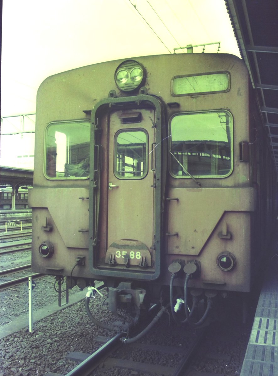 わんこ (@c4Y2v9RCk6l5pCA) / Posts / X