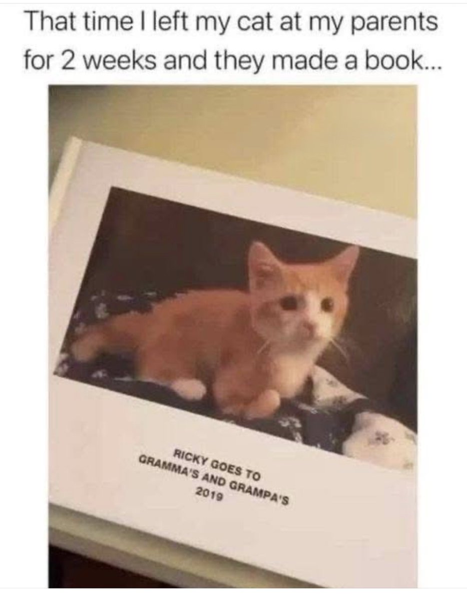 RespectfulMemes's tweet photo. https://t.co/yRQt5cXNHu