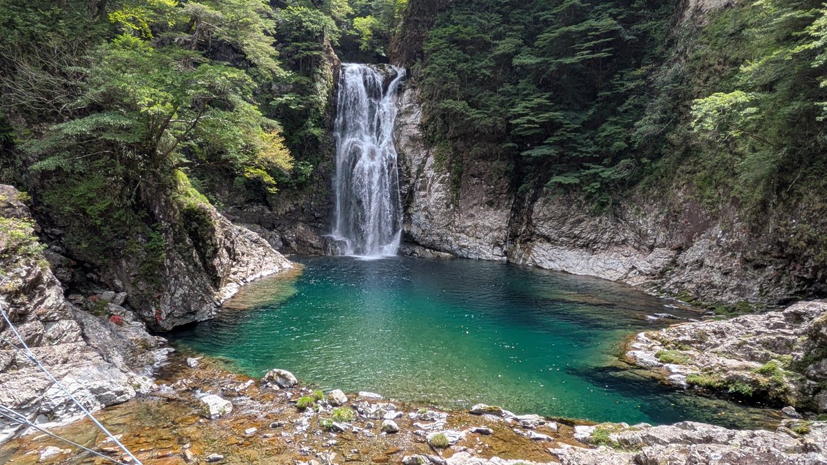 SakuraMatatabi's tweet photo. ８月最初の週末は、久々に1人で百名山
下道で行く、大杉谷〜大台ヶ原山
ピストンの旅

かなりハードな工程だったけど、無心で綺麗な景色の中を歩いてリフレッシュ

終盤は気温30度超えの樹林帯をひたすらアップダウンしながら歩いて発汗ヤバかったけど、沢ダイブと最近噂の練り梅チューブで乗り切った https://t.co/31u0HxDOxL