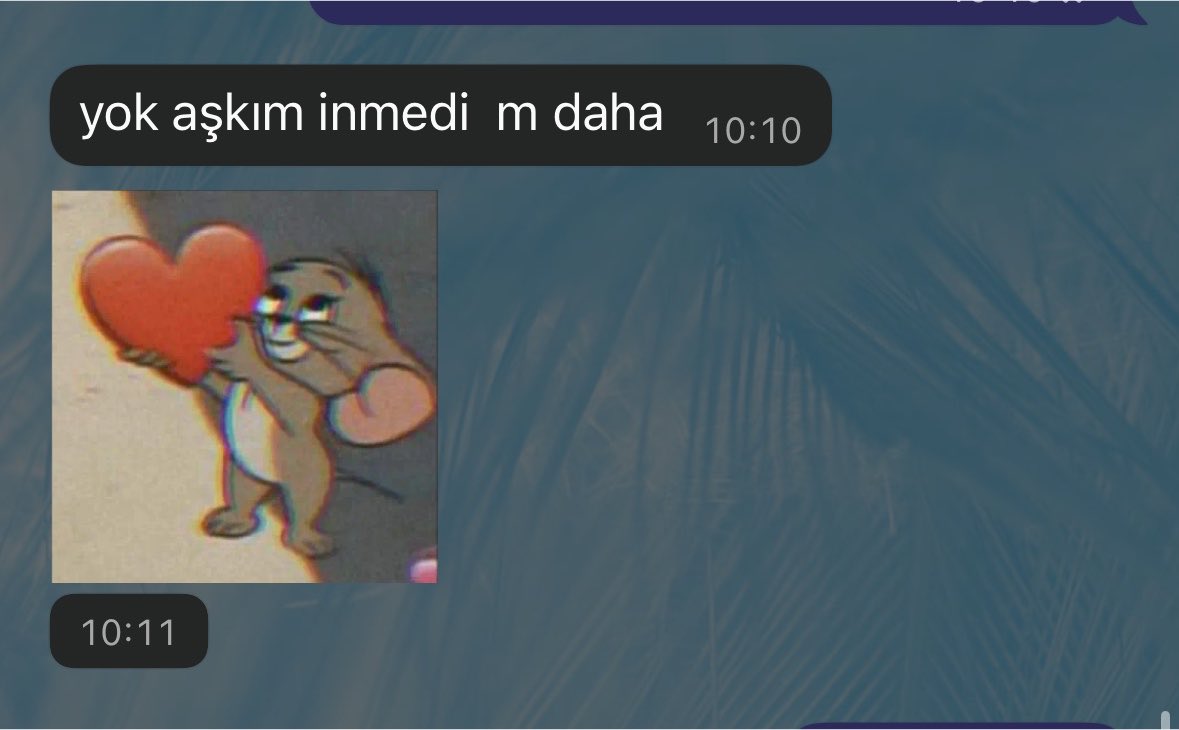 yanevarabi's tweet photo. adam bana haber verebilmek icin ucakta internete baglaniyo???? pardn da yk artik https://t.co/XJCBQJD0FU