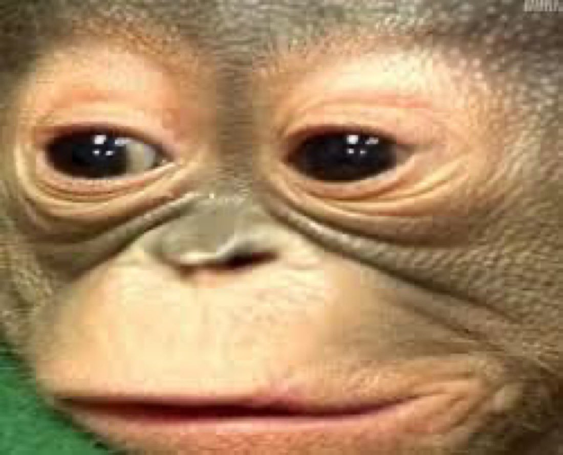okmilky's tweet photo. i keep writing tweets and deleting them like hmm not my best work honestly and ohh u know what no one probably cares https://t.co/hRMeC9pZe3
