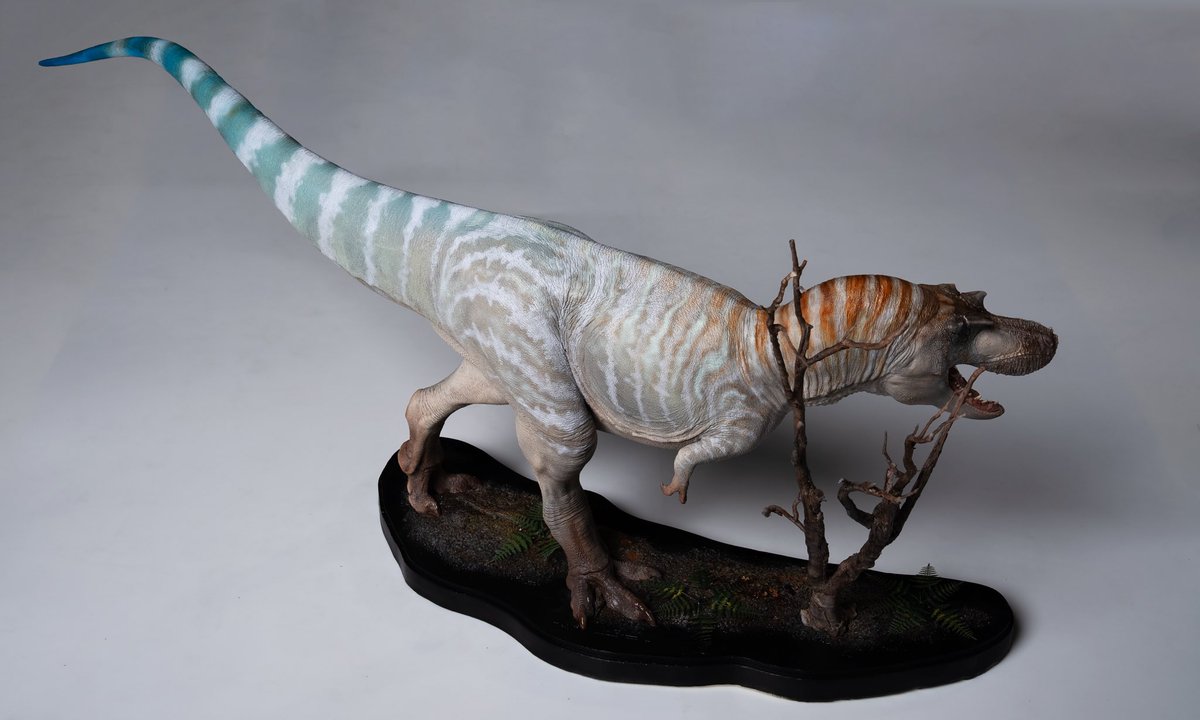 declaystudio's tweet photo. G. libratus scale 1/18
Model by Hoang Manh Duy https://t.co/MtpNM98Jvh