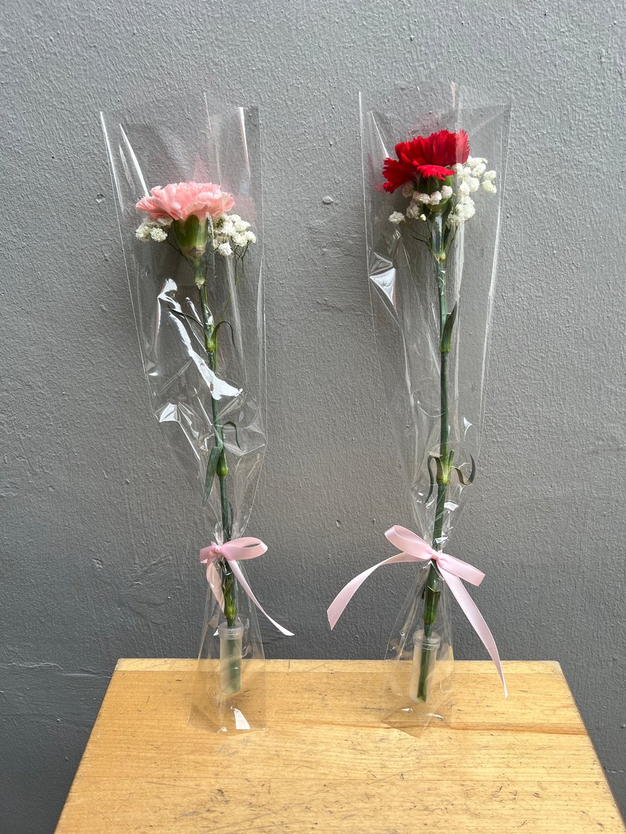 hwasap_'s tweet photo. FREEBIES

ill be giving away flowers, dont worry about them wilting agad kase may water capsules naman. see you soon!!

pic is inspo onli but blue ribbon and probably green carnations or baka all colors,, ill see nalang💐💐

(photo not mine)
#MAMAMOO #4WARDinMNL #MAMAMOOinML https://t.co/Ff89qoKHfD