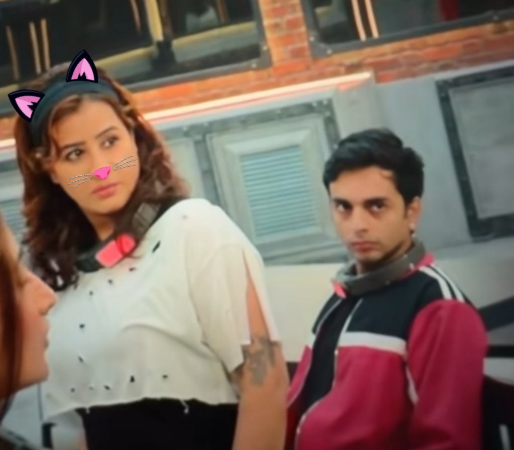 mohsinbabie's tweet photo. Me when I see an ichchadhari snake: I'm totally in my Shilpa Shinde era!😂🐣

•|| #ShilpaSinde #Lockupp2 ||• https://t.co/1R1u3JEqdT