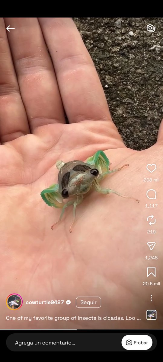 Boccher23's tweet photo. @tannarae_ でも、このかわいい一年ゼミ見て！ (っ≖⩊≖)╮ =͟͟͞͞🦗🪲🐞 https://t.co/kTUMmPI7h9
