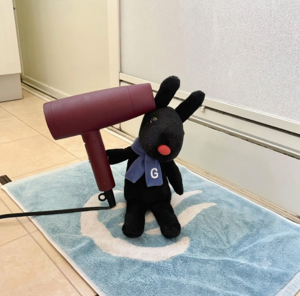 Gaspard_Lisa_JP's tweet photo. 夏場はシャワーやおふろの回数が増えますね🛀

お時間のある方は、ガスパールのドライヤー後の姿を一目見に、TIKTOKに来てください😊

大胆イメチェン、真似したくなるかも！

https://t.co/YJSMujqReV

#TIKTOK　#リサとガスパール https://t.co/KSDfM2i1Bs