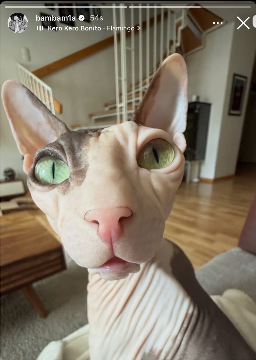 mootyBB's tweet photo. ตกใจหมด5555555 https://t.co/IQMJ0IRRRO