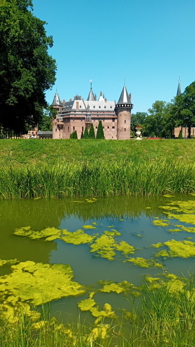 OdijkSandra's tweet photo. @jjmmli Kasteel De Haar, Haarzuilens, The Netherlands https://t.co/x8JOMCzs7W
