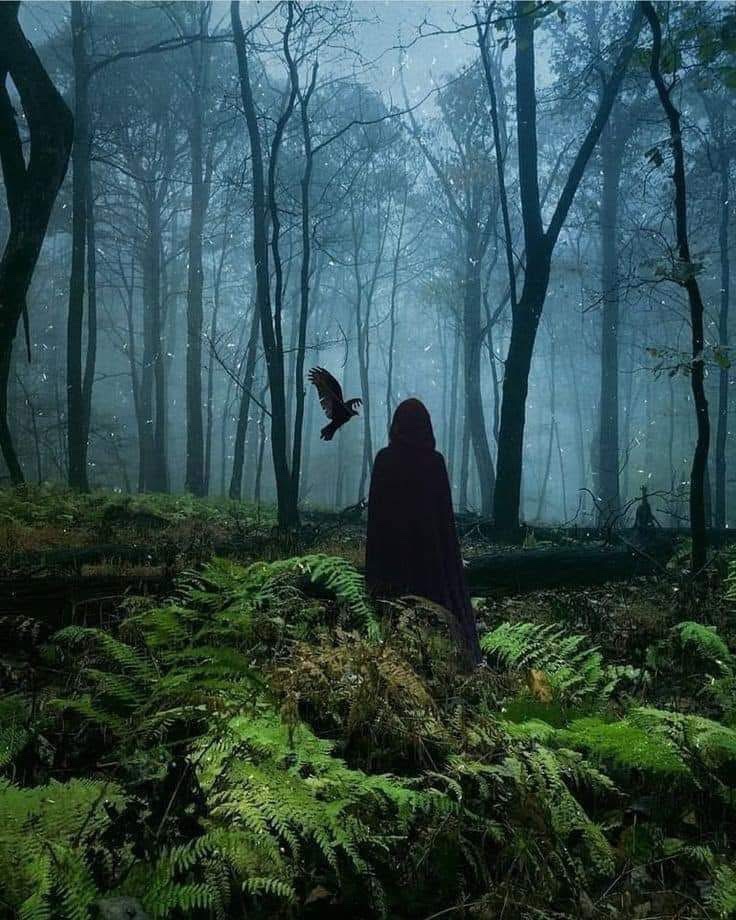 maximumpain333's tweet photo. The quiet awakened introvert is often the most misunderstood, standing out as the black sheep of the herd. They are perceived as aloof, disconnected, or flawed due to their natural inclination towards solitude.

Ancient souls, whom process the world on a different wavelength, one that escapes those consumed by the chaos of daily life. Their perspective allows them to see the deeper truths that lie beneath the surface. 

They speak from the language of the soul, draw nourishment from the rich depths of their inner worlds, the essence of being, the deep mysteries of existence, forbidden knowledge and communion with spirit 

Solitude is their sacred sanctuary, where the soul awakens to its full radiance. They are never alone, the spirit world is a constant companion.

They are deep feelers and thinkers, keen observers, listeners, analyzers, and contemplators who are deeply attuned to their surroundings and navigate life with an evolved conscious awareness, discernment, introspection, intuition, and a unique perspective. They intuit and observe what majority miss, pursue what eludes societal norms, and simply cannot relate to the herd. 

They seek deep, meaningful and authentic connections, that resonate on an intellectual and spiritual level. Though exceptional listeners, they only communicate with intentionality, their purpose not to fill silence or pass time, but to invite others into their inner world or to explore the nature of reality. They desire genuine presence, hoping for understanding and connection.

They yearn for connections that allow for comfortable silence, where the whispers of the soul are heard, and an energy exchange is felt. 

Those whom are uneasy with silence, often find it challenging to relate to their essence and may even experience unease and apprehension in their company.

Society prioritizes superficiality and extroversion. The pressure to conform to this ideal leads to misconceptions about their personalities. Their extroverted counterparts who command attention and thrive in social settings may even attempt to change or "fix" them, convinced that they are flawed.

The world is a cacophony that drowns out the whispers of the soul and spirit: Relentless stimulation, useless information, meaningless chatter, and artificial distractions. 

Societal norms and the noisy, and chaotic elements of the modern, artificial and shallow world feels suffocating to them, like poison seeping into their very soul. 

They are not meant to fit in or conform. Their spirits rebel against the normalcy that society perpetuates. 

Though the world may never understand them, and despite societal pressures to fit in, they forge their own paths, honoring their individuality over conformity, and embracing their quietness as a strength. 

They understand what they possess is a gift that holds deep meaning, an inherent part of their core essence and the very nature of existence in the microcosm and macrocosm.

✨🙌🏾💫
