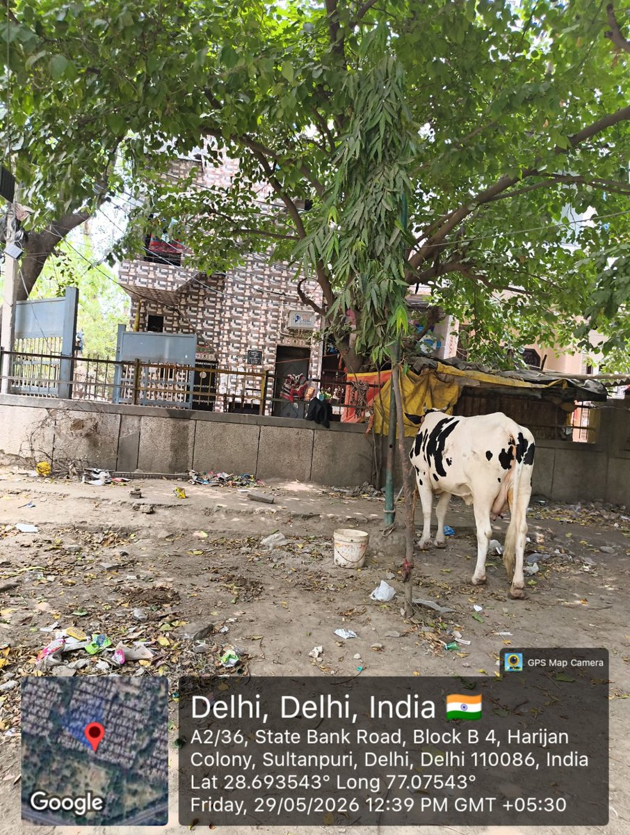 rajanblog's tweet photo. @dcrohinizone @CPCB_OFFICIAL @DPCC_Pollution @CAQM_Official @LtGovDelhi Cmpln No 2026018745 has been marked as resolved, but the issue still exists. Cattle are still inside the public park, and the park boundary hasn't been secured, allowing repeated encroachment. Need Inspection https://t.co/Aut671Lx3N