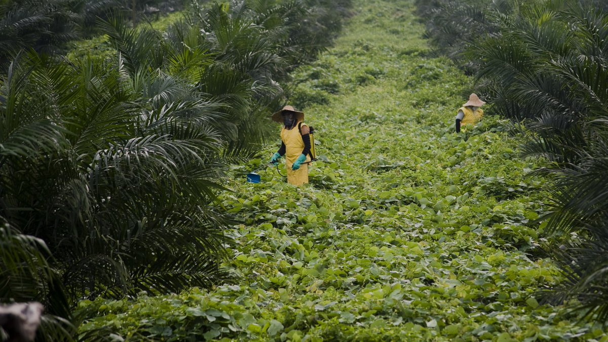 KingWobil's tweet photo. as described in this document after the date of its accreditation, and only within the scope of its accreditation.

2️⃣ The CB shall comply with the requirements established by the AB with which it is accredited concerning accreditation decisions, status and scope.

4/4

#OilPalm https://t.co/iVnqNTMvks