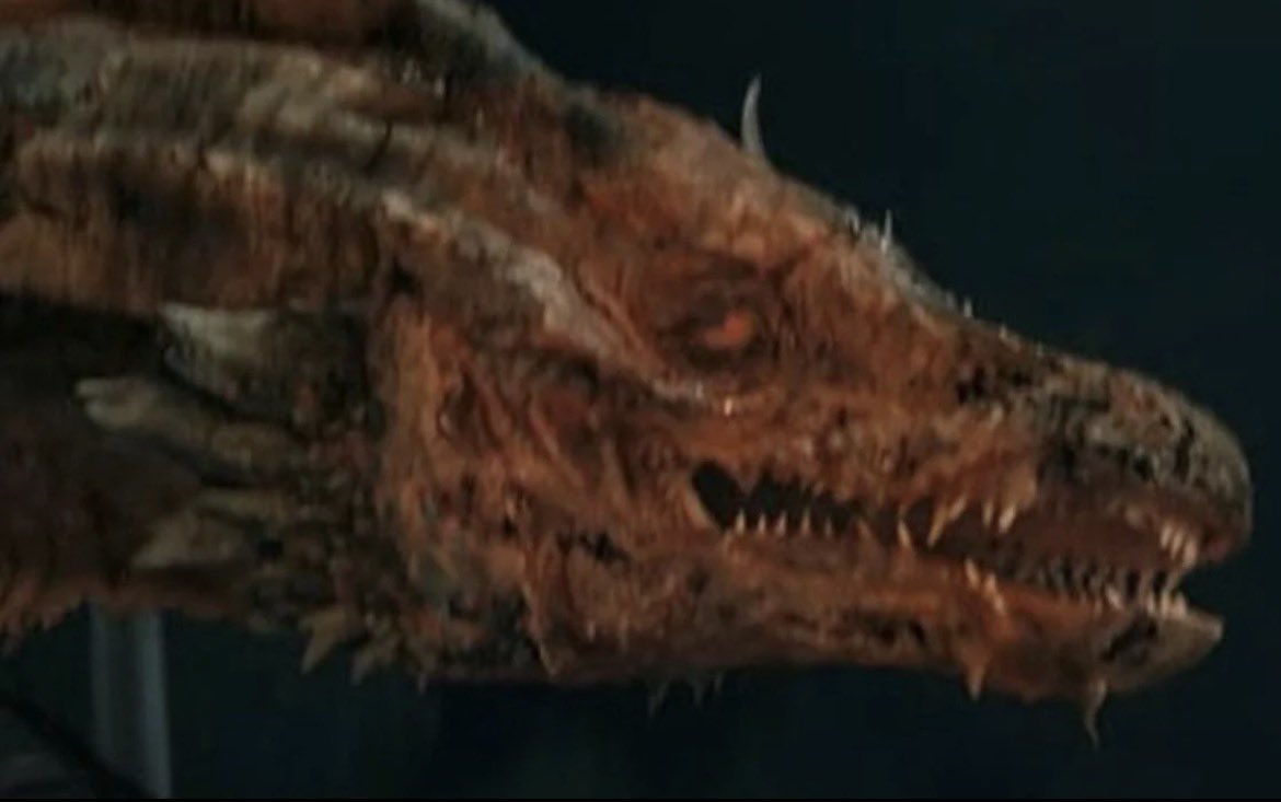 Blonddieee_'s tweet photo. “A dragon so beautiful, they named it after the sun” 

The dragon😭: https://t.co/51M0ggfxUl