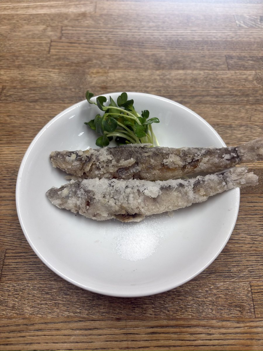 kane_show261's tweet photo. 本日のオススメです。
火曜日のかね将は本日も16:30よりオープンします！
よろしくお願いします！！
#かね将　#大衆酒場　#五反田グルメ　#居酒屋 https://t.co/n04WTI3gat