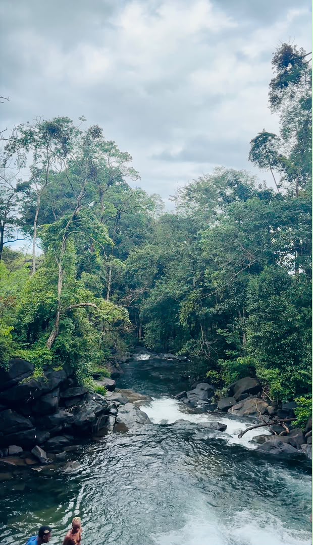 VisitSL's tweet photo. Nature’s masterpiece painted in every leaf!🍃 🍀🌿
📍Mambo Waterfall || August 1st, 2026

We create experiences that connect travelers with nature while promoting sustainable tourism. 🇸🇱

For more info contact👇🏽
📧: info@vsltravel.com

#VSLTravel #NatureTourism #AdventureTourism #SustainableTravel #MamboWaterfall #NatureArt #LushBeauty #GreenScenery #StayWild  #DiscoverSierraLeone