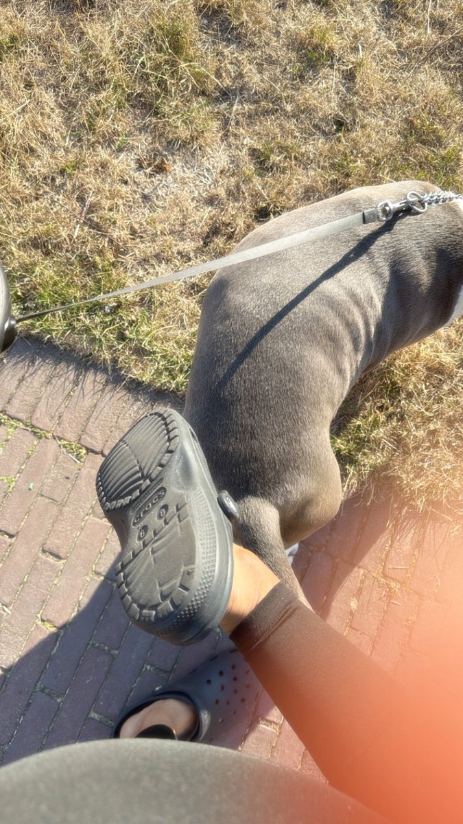 fdprincessdx's tweet photo. Zelfs me 4 jaar oude crocs hebben meer waarde dan jou 😂

FindomNL Tikkieslaaf Geldslaaf Voetenslaaf Paypig https://t.co/7gXWSLZ607