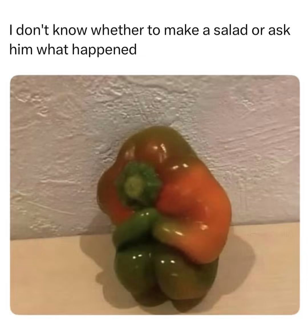WholesomeMeme's tweet photo. https://t.co/8p048IOldL