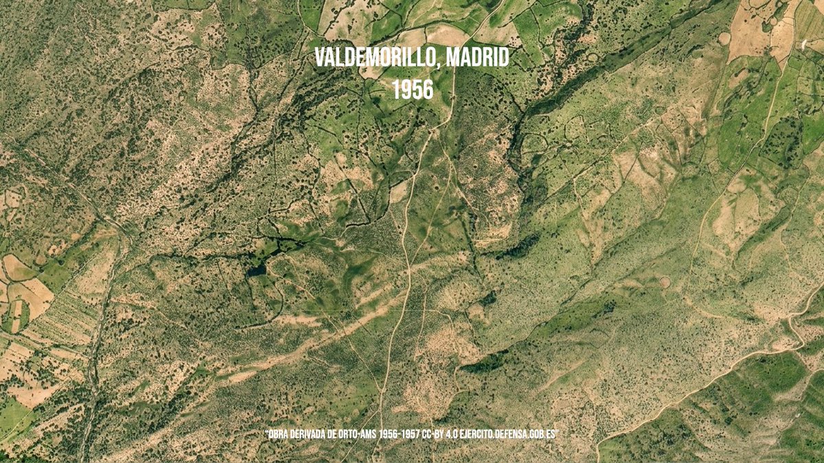 AntonioGalealba's tweet photo. El monte está sucio, sí. De especulación urbanística. 
Dejamos abandonar los pueblos, y llenamos sus montañas de macrocomplejos turísticos.
Luego vienen los "madre mía". https://t.co/NdG8hpZ4It