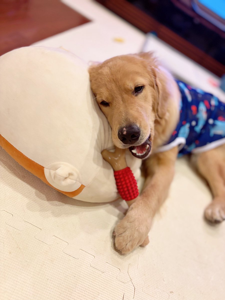 tpxxDOG's tweet photo. 家賃も食費も一円も払ってない人の態度 https://t.co/EfhPGLiNUR