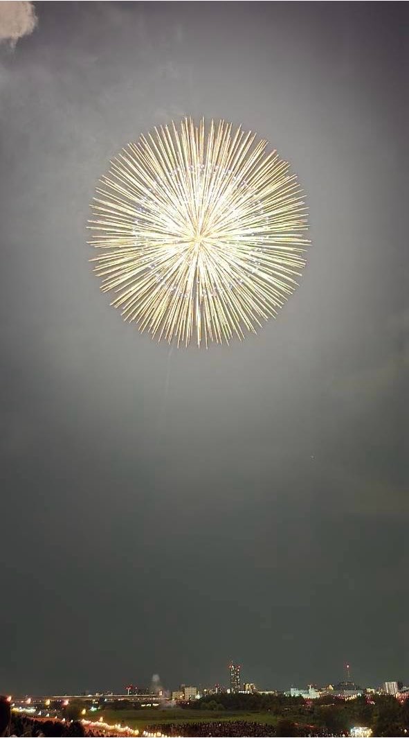 sipupupu_'s tweet photo. 今年撮れた花火。花火に見えない件 https://t.co/S5dSQAt2MN