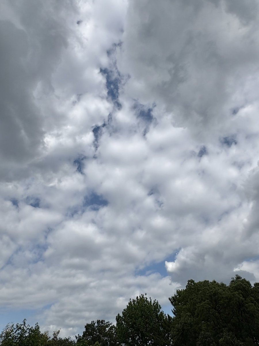 Birdseyebass's tweet photo. 何だか
何かが飛んでそうな15:42の空。
去年の某5万人の森公園での
渡り観察前の観察、
他。 https://t.co/nvwjSuaWqW