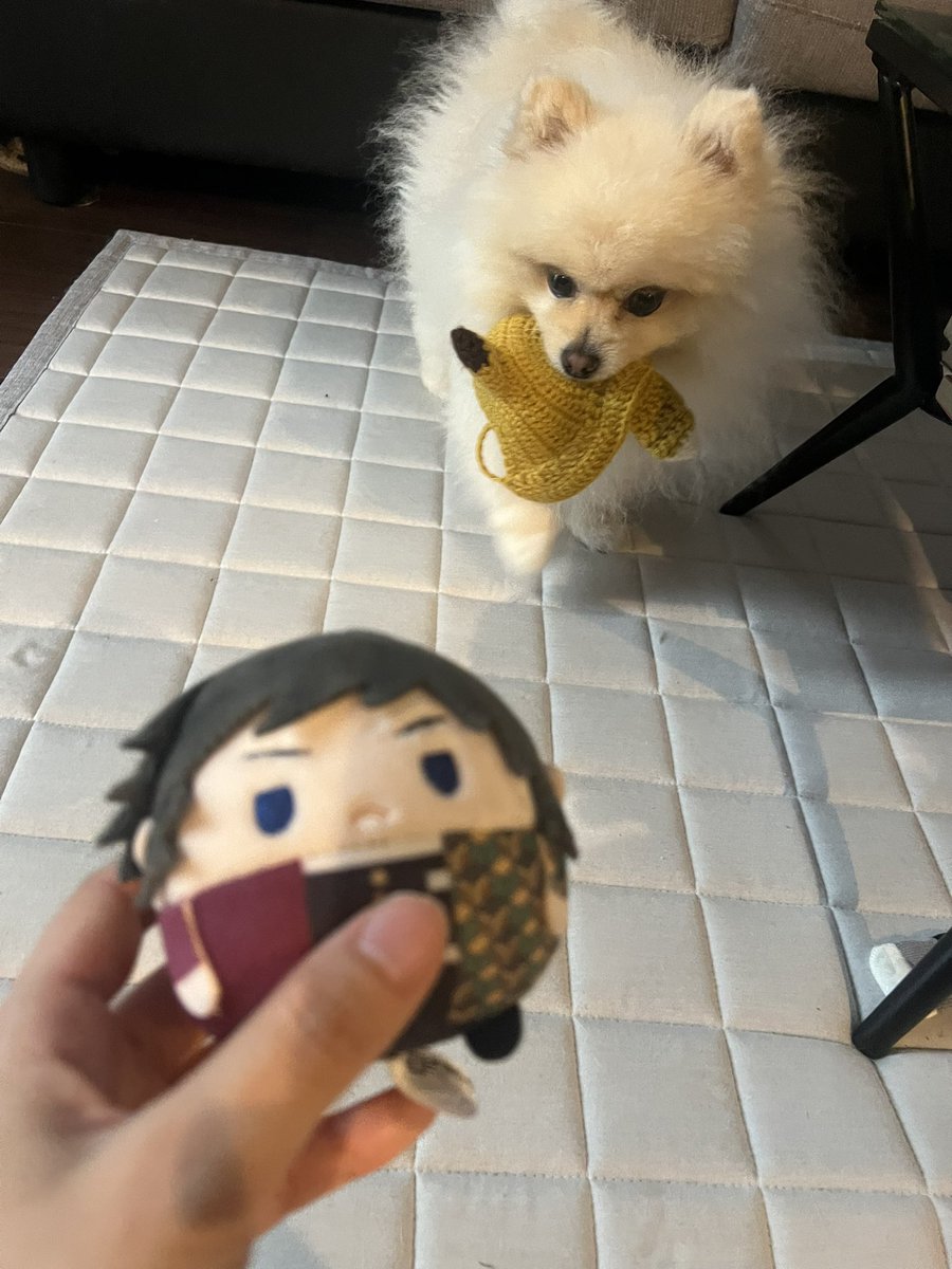 pg_1018's tweet photo. かまうな…おれに…!! https://t.co/MAqZ2YZVFY