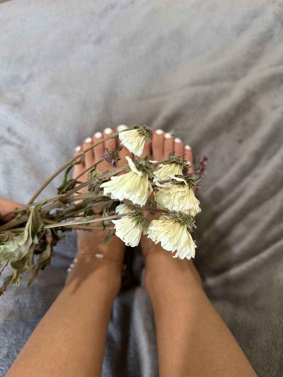 barefootinbloom's tweet photo. The OF is now live!! First post coming today, don’t miss it!😉🥀 

!Free trail for the first few! 👇🏼

https://t.co/KY7tO1lRq6

#feetfetısh #feetworshi̇p #natural #feet #OF https://t.co/9B63iPbYqo