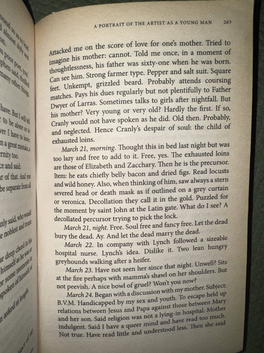 dahls1im's tweet photo. @dear_mortal Same issue lol. I think adopting a distinct (or truncated, à la the image) style so that it become a gear-switch is a compromise that could itself grow prose-poetic in time. https://t.co/0lfDnKiNpP