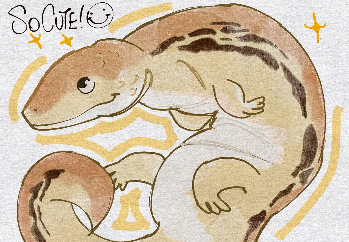 alienpervv's tweet photo. drew my friends little pet I Dont know what creature this is but its so cute https://t.co/7v1x4CMTzN