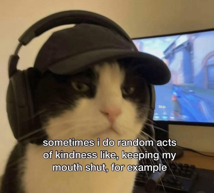 Meowversetwt's tweet photo. https://t.co/jXpS9IIqRR